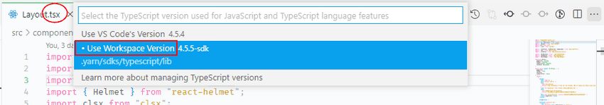 vscode typescript workspace version
